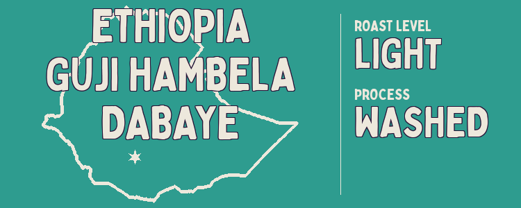 Ethiopia Guji Hambela Dabaye